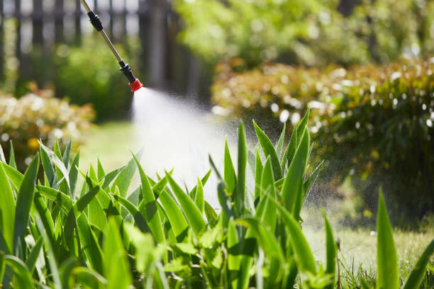 24/7 Emergency Mosquito Control experts in Glasgow, VA