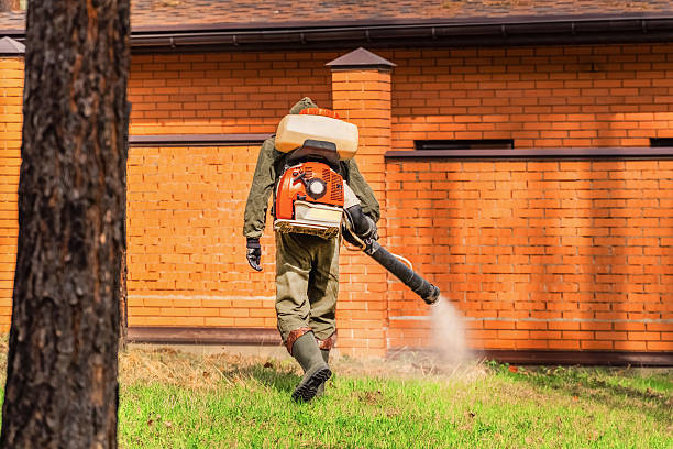 Top rated local Mosquito Control specialists in Glasgow, VA